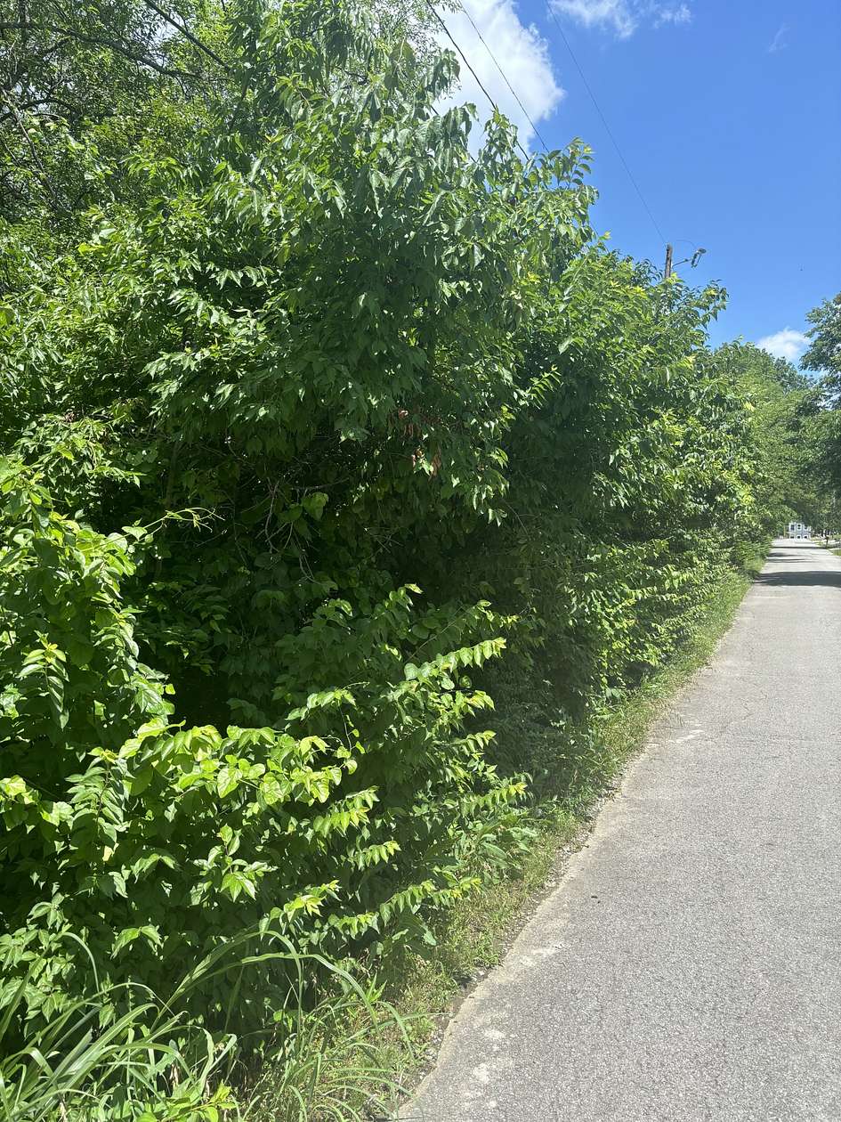 6 Acres of Land for Sale in Nashville, Tennessee