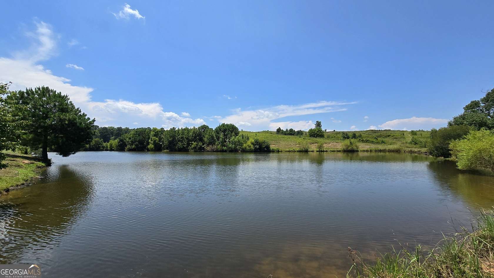 110 Acres of Land for Sale in Musella, Georgia