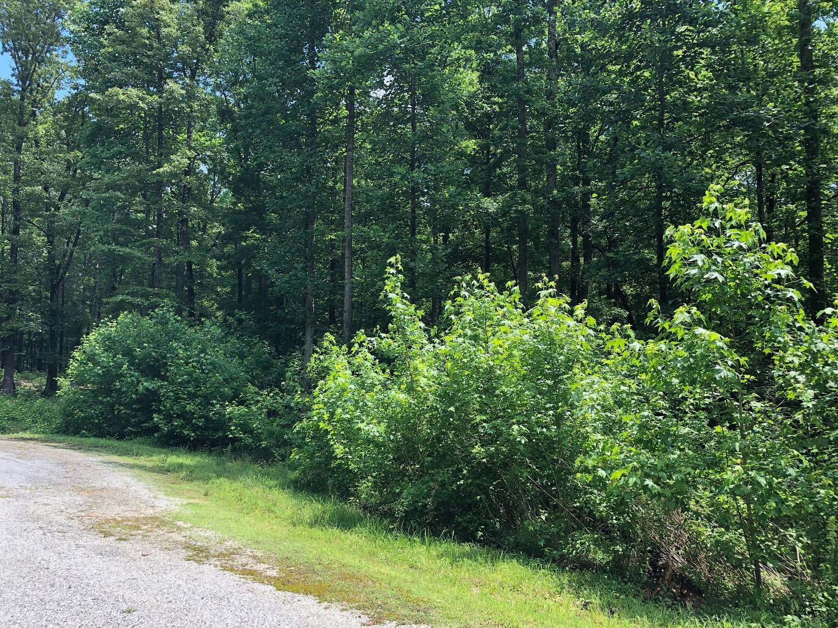 1.3 Acres of Residential Land for Sale in Cedar Grove, Tennessee