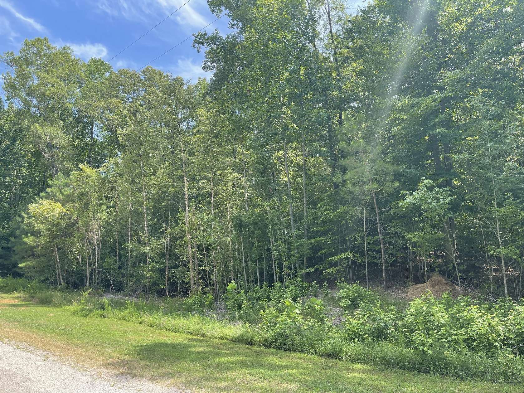1.6 Acres of Residential Land for Sale in Cedar Grove, Tennessee