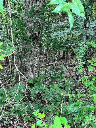 0.67 Acres of Residential Land for Sale in Decatur, Tennessee