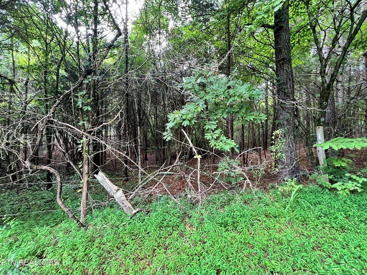 1.2 Acres of Residential Land for Sale in Decatur, Tennessee