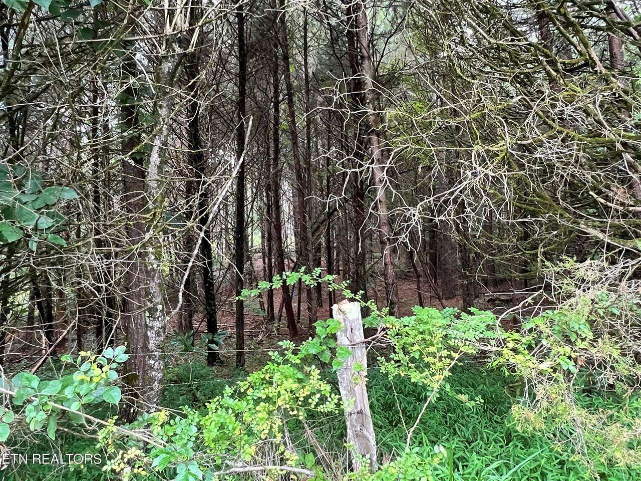 0.73 Acres of Residential Land for Sale in Decatur, Tennessee