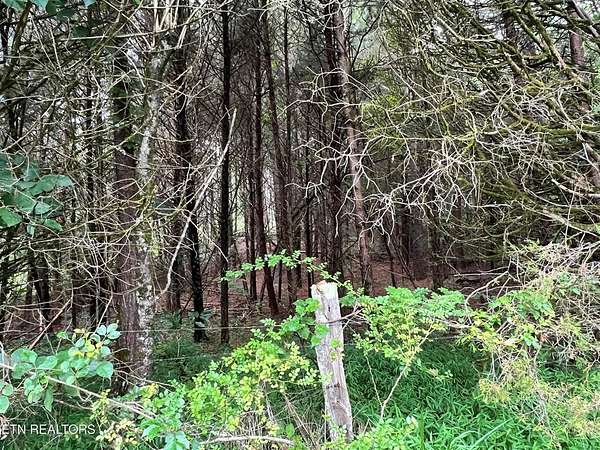 0.73 Acres of Residential Land for Sale in Decatur, Tennessee