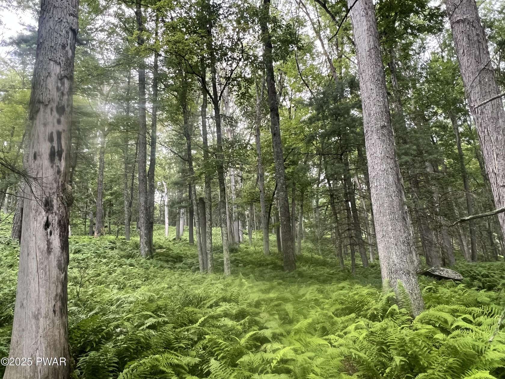 47.4 Acres of Agricultural Land for Sale in Narrowsburg, New York