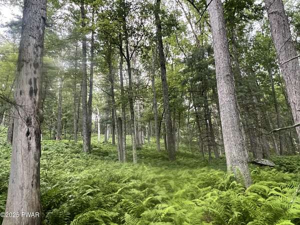 47.4 Acres of Agricultural Land for Sale in Narrowsburg, New York