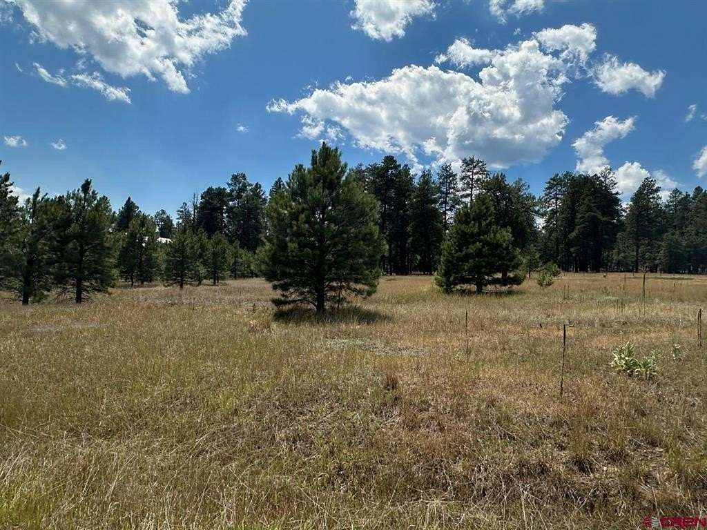 0.27 Acres of Residential Land for Sale in Pagosa Springs, Colorado