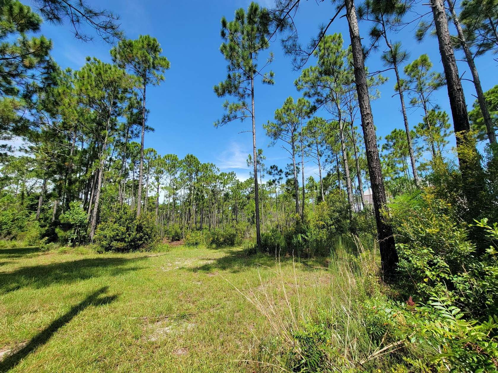0.46 Acres of Residential Land for Sale in Santa Rosa Beach, Florida