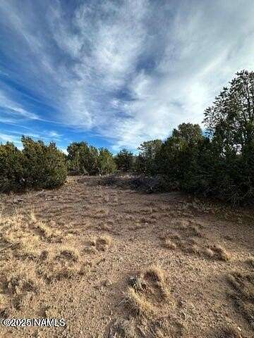 1 Acre of Land for Sale in Williams, Arizona