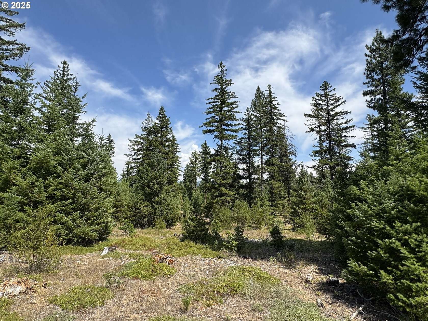 20 Acres of Recreational Land for Sale in Goldendale, Washington