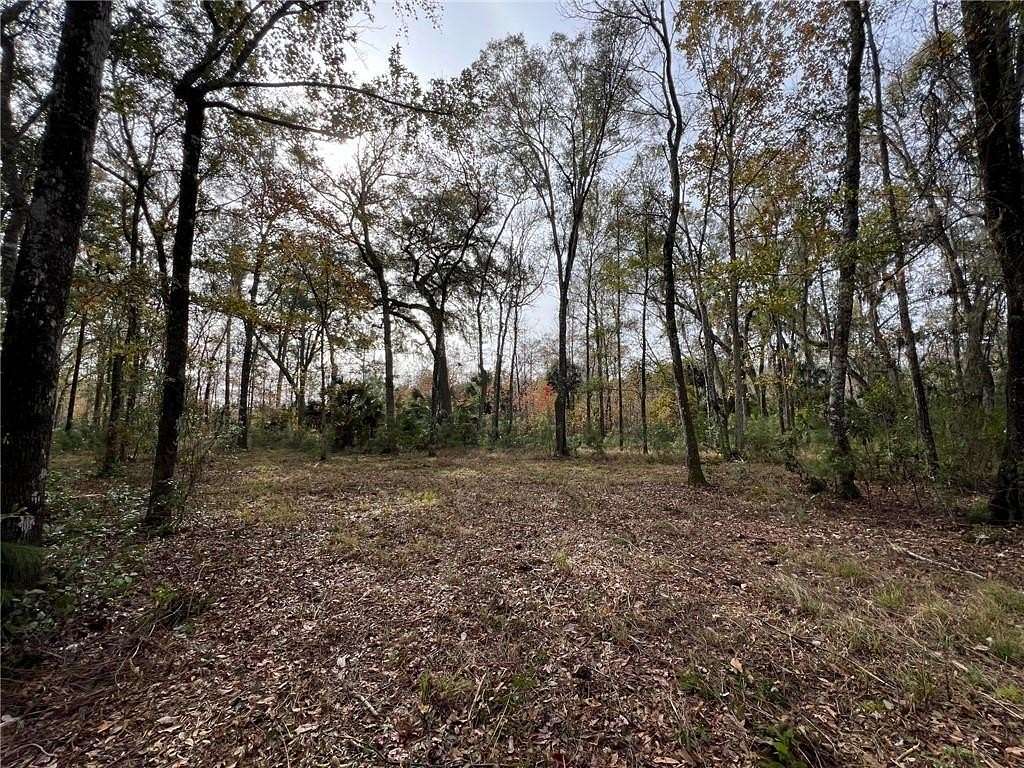 1 Acre of Residential Land for Sale in Brunswick, Georgia