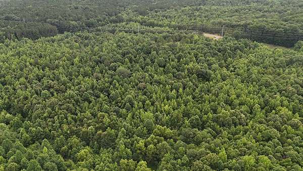 75 Acres of Recreational Land for Sale in Grenada, Mississippi