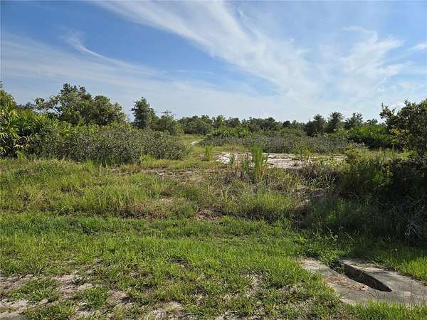 5.17 Acres of Land for Sale in Myakka City, Florida