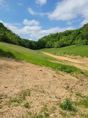 15.3 Acres of Land for Sale in Beechgrove, Tennessee