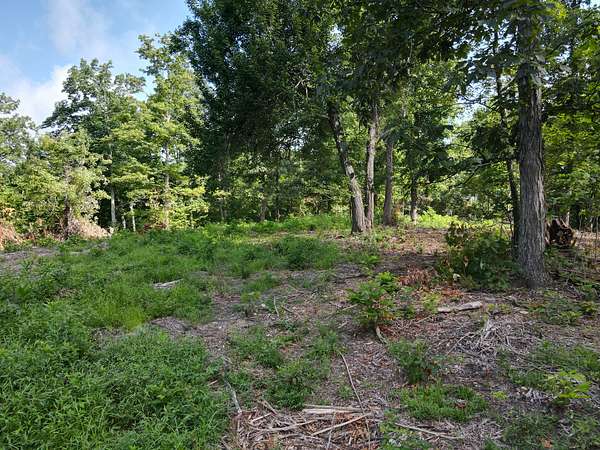 15 Acres of Land for Sale in Beechgrove, Tennessee