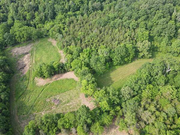 35.3 Acres of Agricultural Land for Sale in Manchester, Tennessee