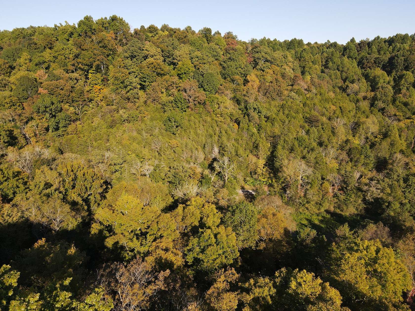 24.5 Acres of Agricultural Land for Sale in Manchester, Tennessee