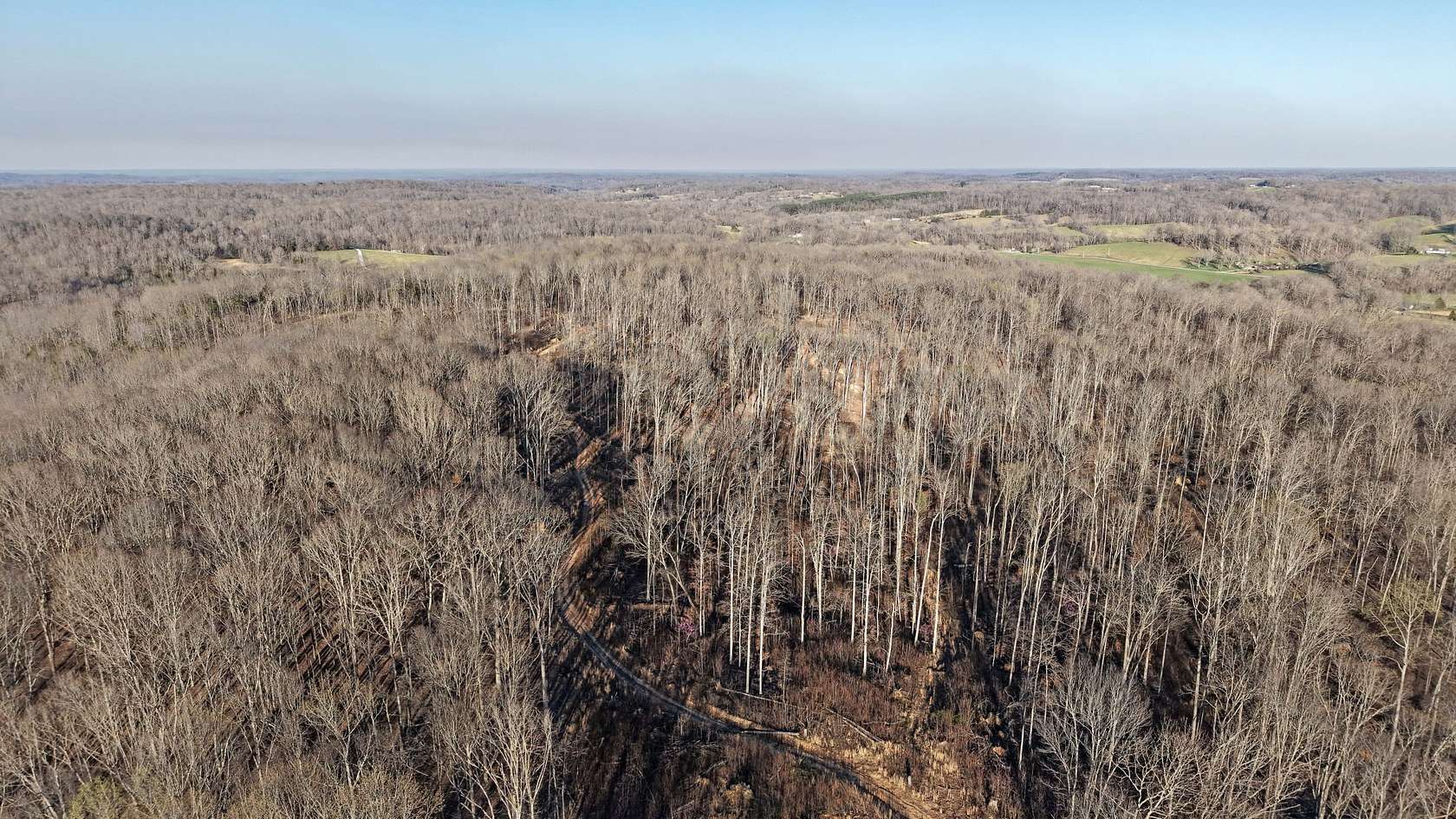 78.5 Acres of Recreational Land for Sale in Vanleer, Tennessee