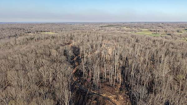 78.5 Acres of Recreational Land for Sale in Vanleer, Tennessee