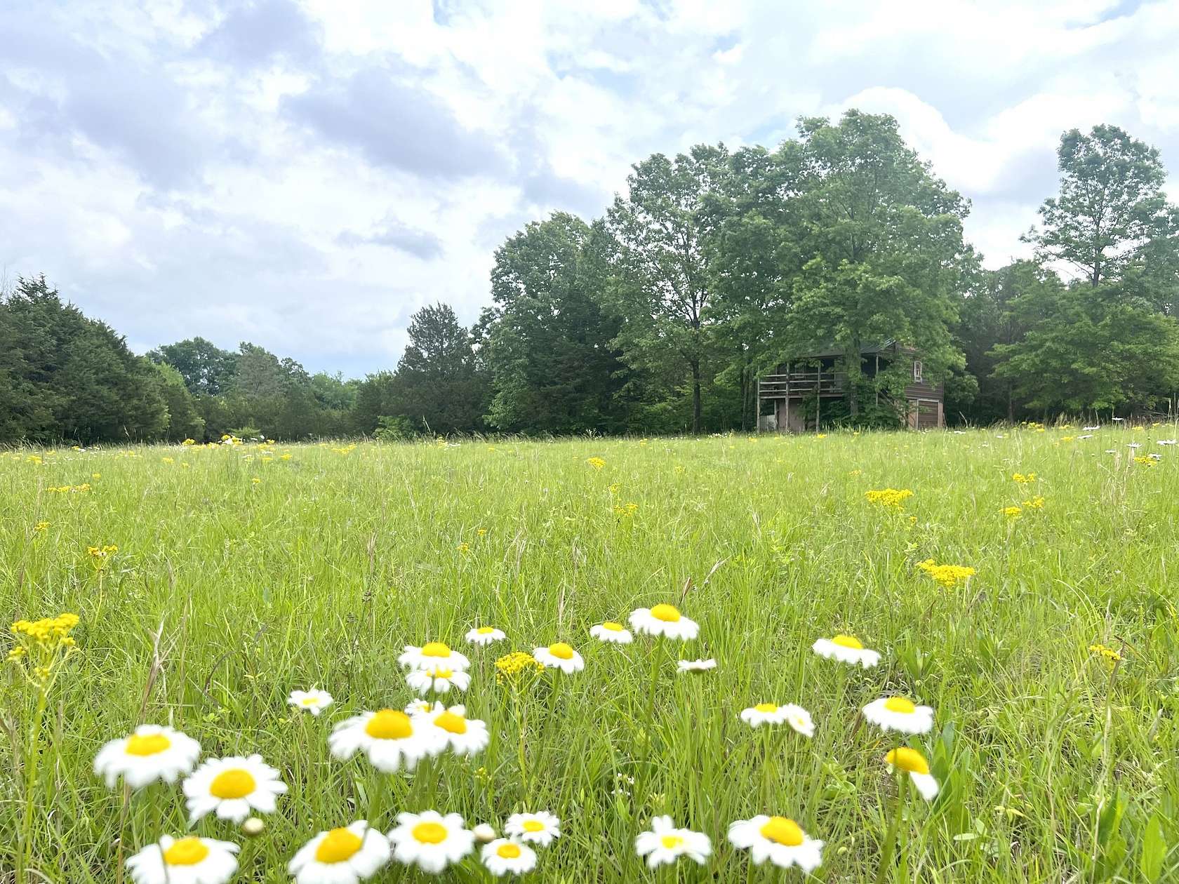 62.5 Acres of Land for Sale in Murfreesboro, Tennessee