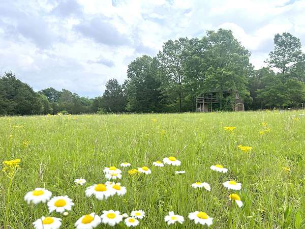 62.5 Acres of Land for Sale in Murfreesboro, Tennessee