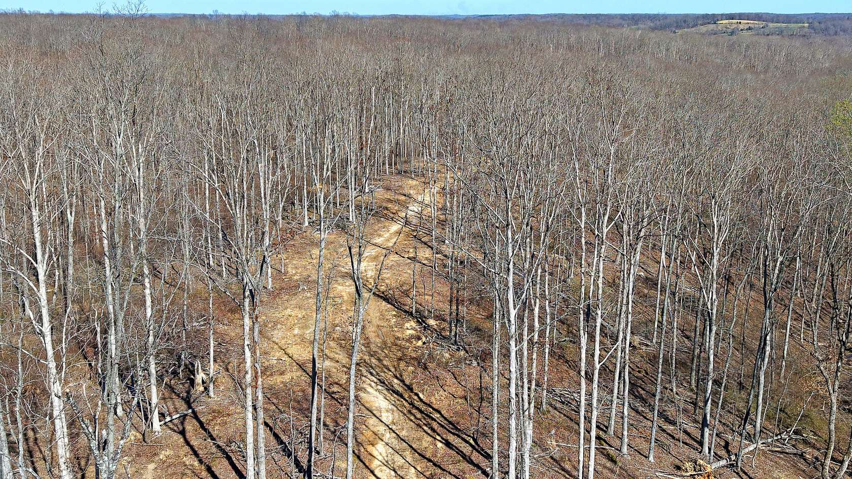 25 Acres of Recreational Land for Sale in Vanleer, Tennessee