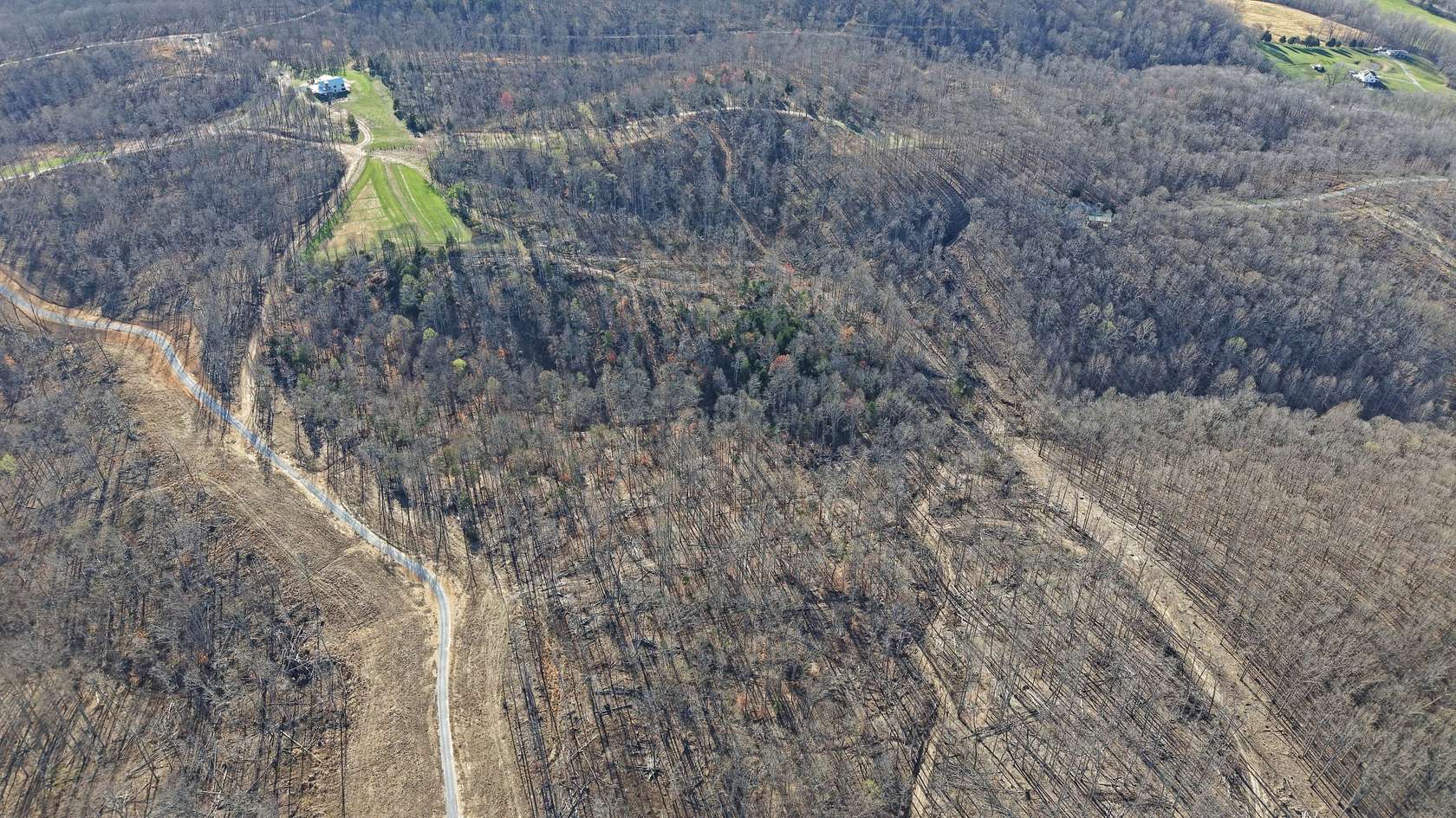 53.9 Acres of Recreational Land for Sale in Vanleer, Tennessee