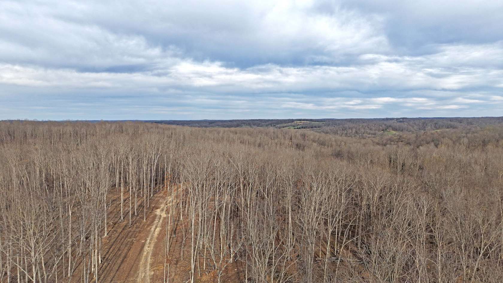 25 Acres of Recreational Land for Sale in Vanleer, Tennessee