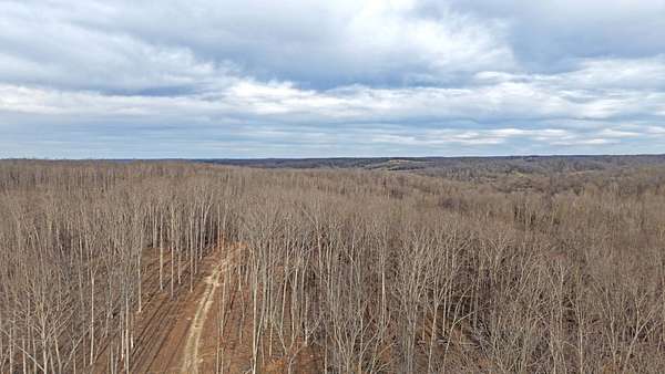 25 Acres of Recreational Land for Sale in Vanleer, Tennessee