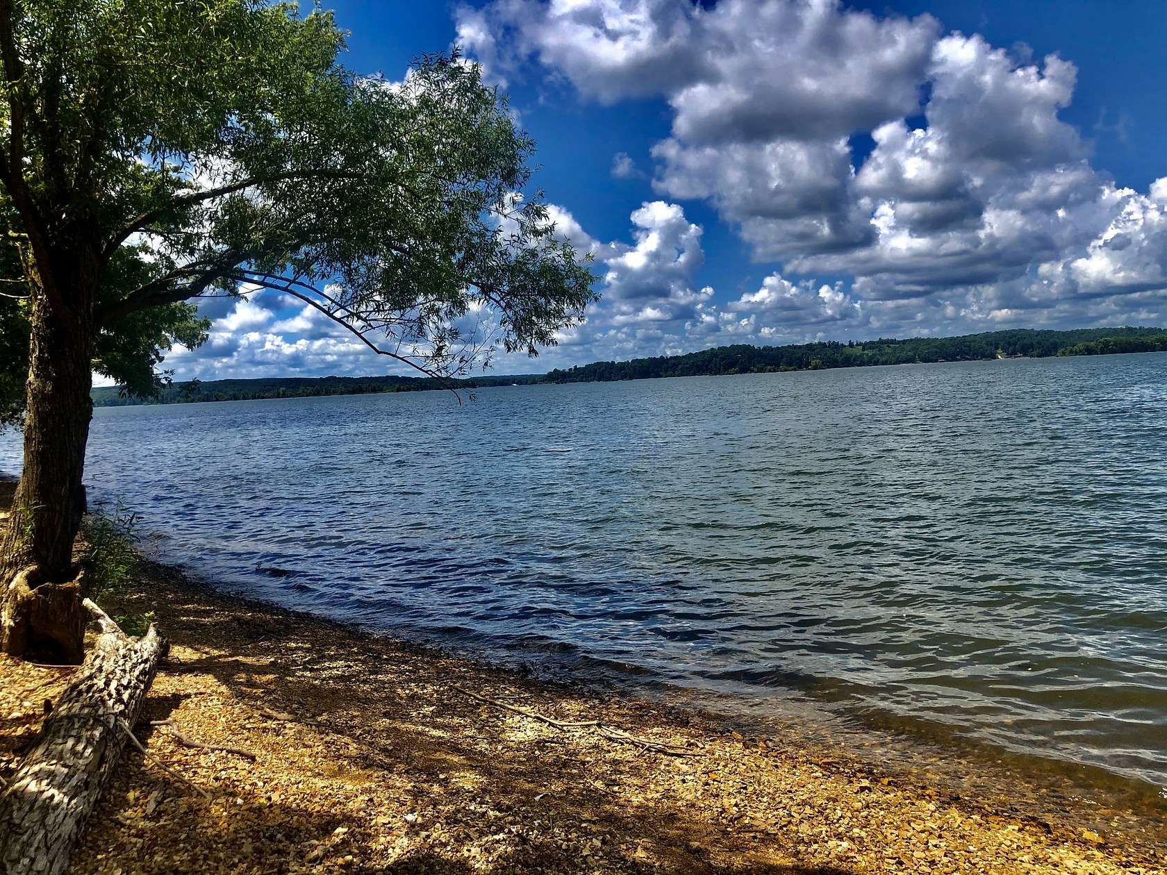 59 Acres of Recreational Land for Sale in Stewart, Tennessee