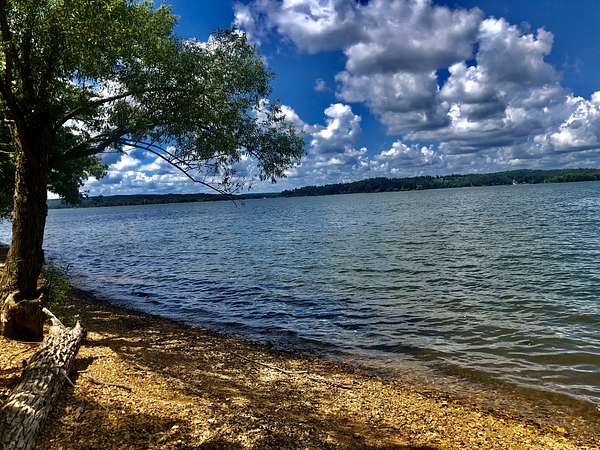 59 Acres of Recreational Land for Sale in Stewart, Tennessee