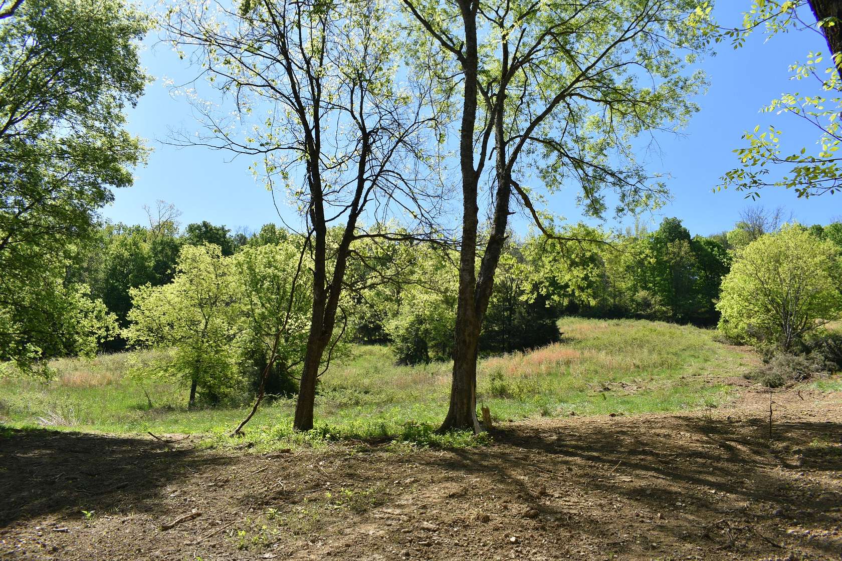5.1 Acres of Land for Sale in Carthage, Tennessee
