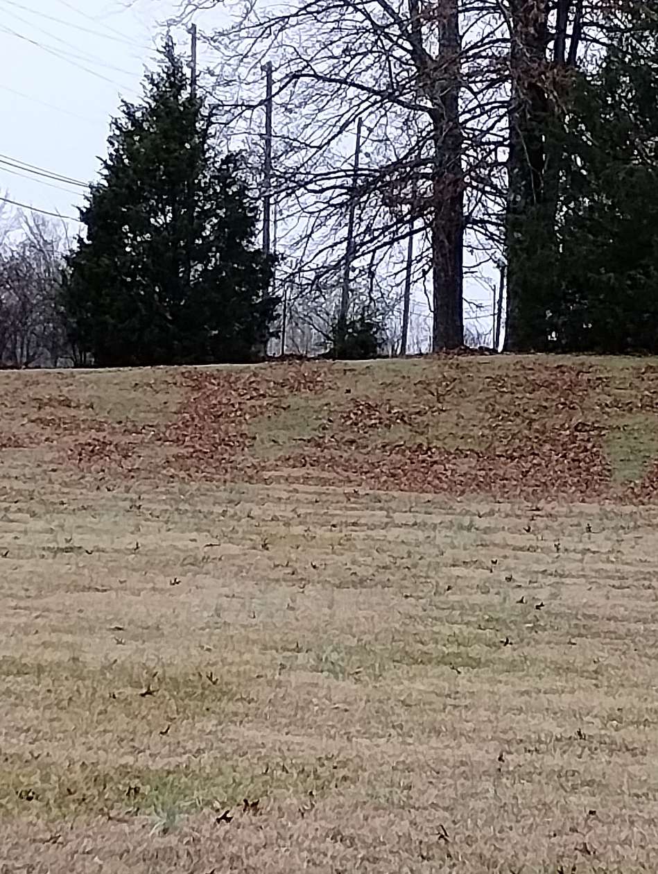 0.64 Acres of Commercial Land for Lease in Fairview, Tennessee