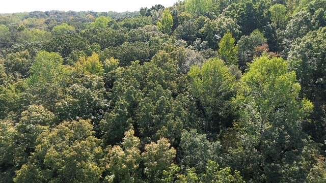 5 Acres of Residential Land for Sale in Camden, Tennessee