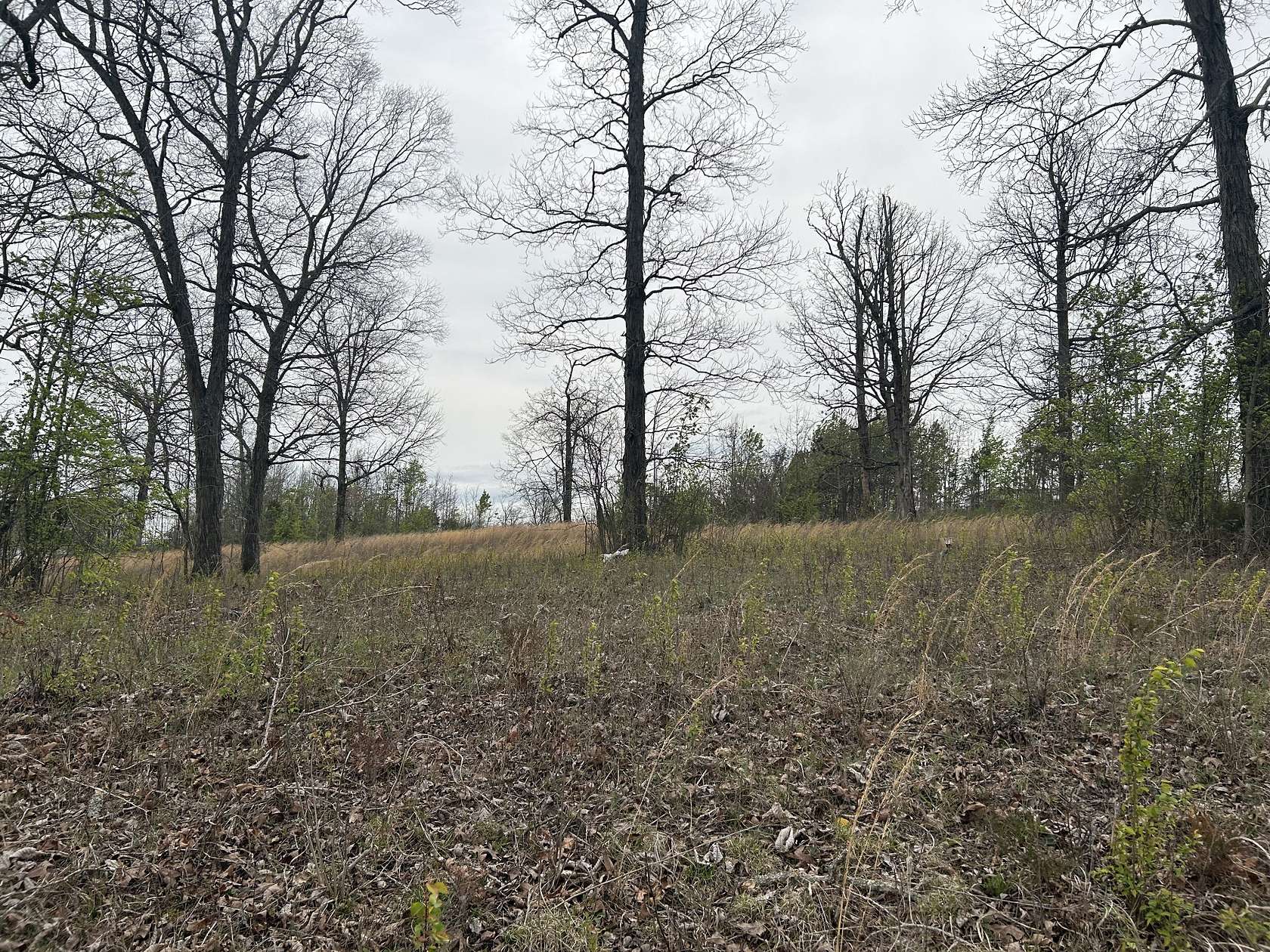 1.16 Acres of Commercial Land for Sale in Shelbyville, Tennessee