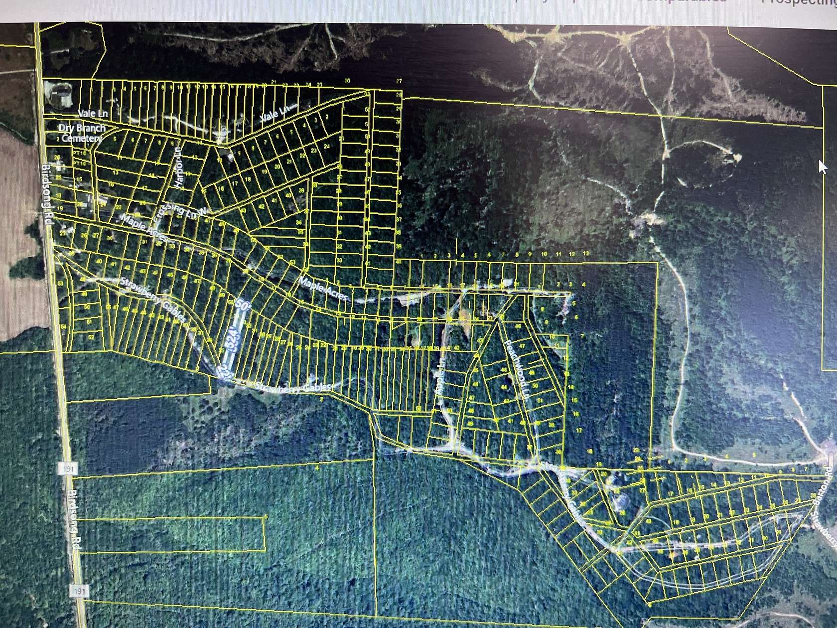 46.9 Acres of Land for Sale in Holladay, Tennessee