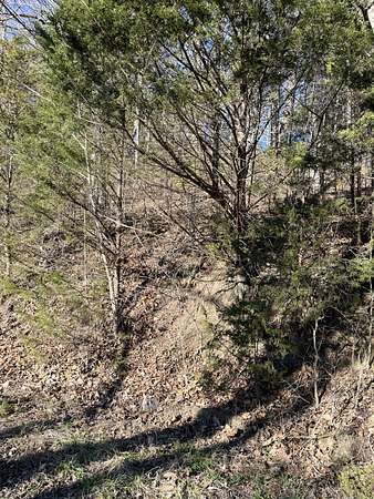 5 Acres of Land for Sale in Dowelltown, Tennessee