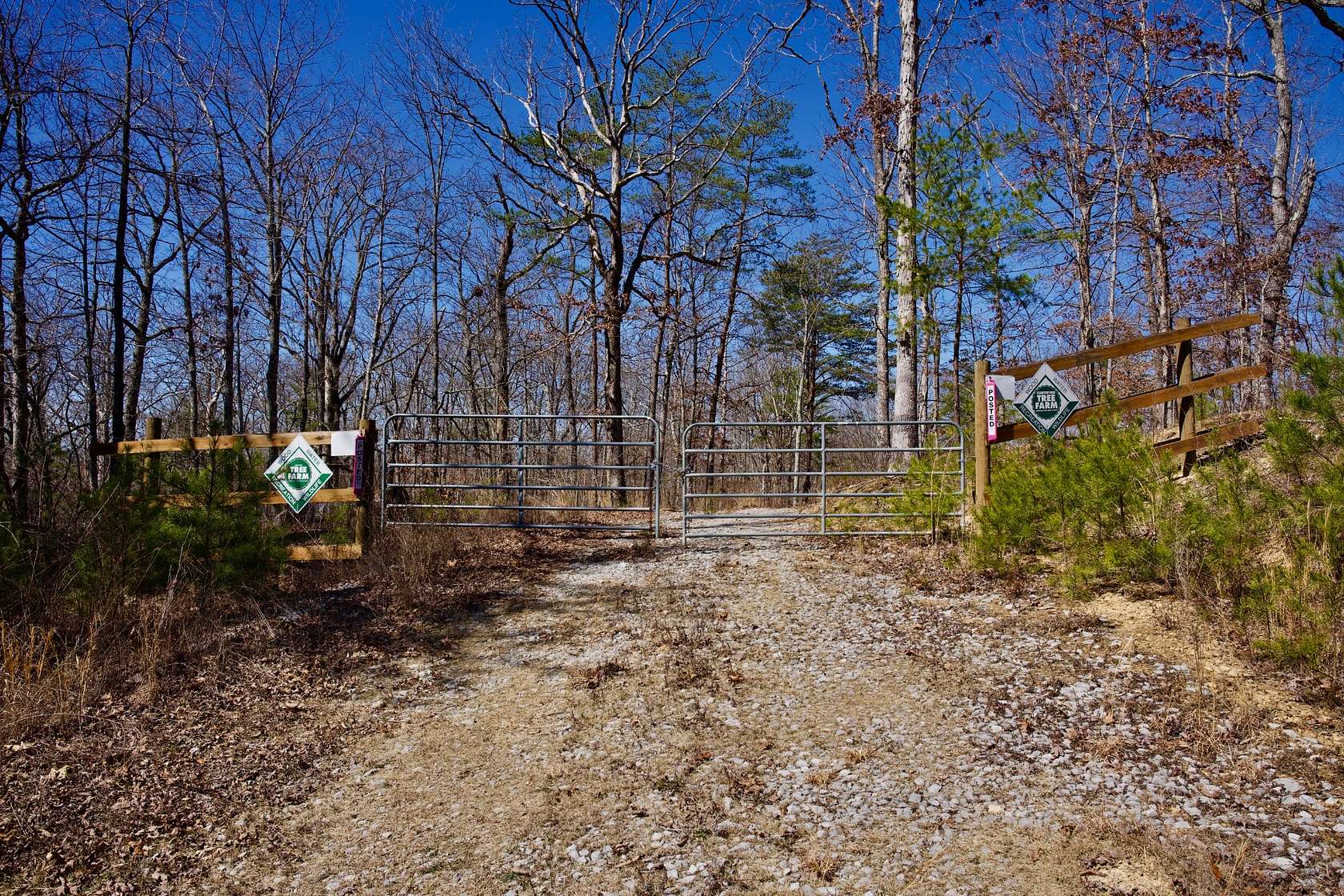 445 Acres of Land for Sale in Pikeville, Tennessee