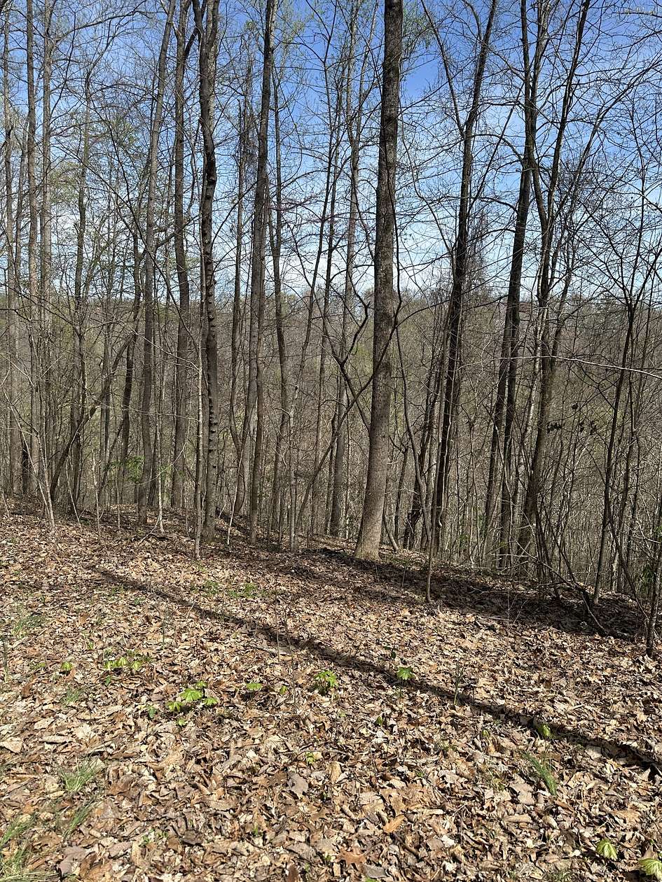 Residential Land for Sale in Smithville, Tennessee