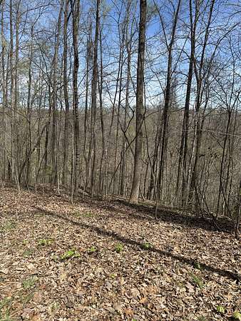 Residential Land for Sale in Smithville, Tennessee