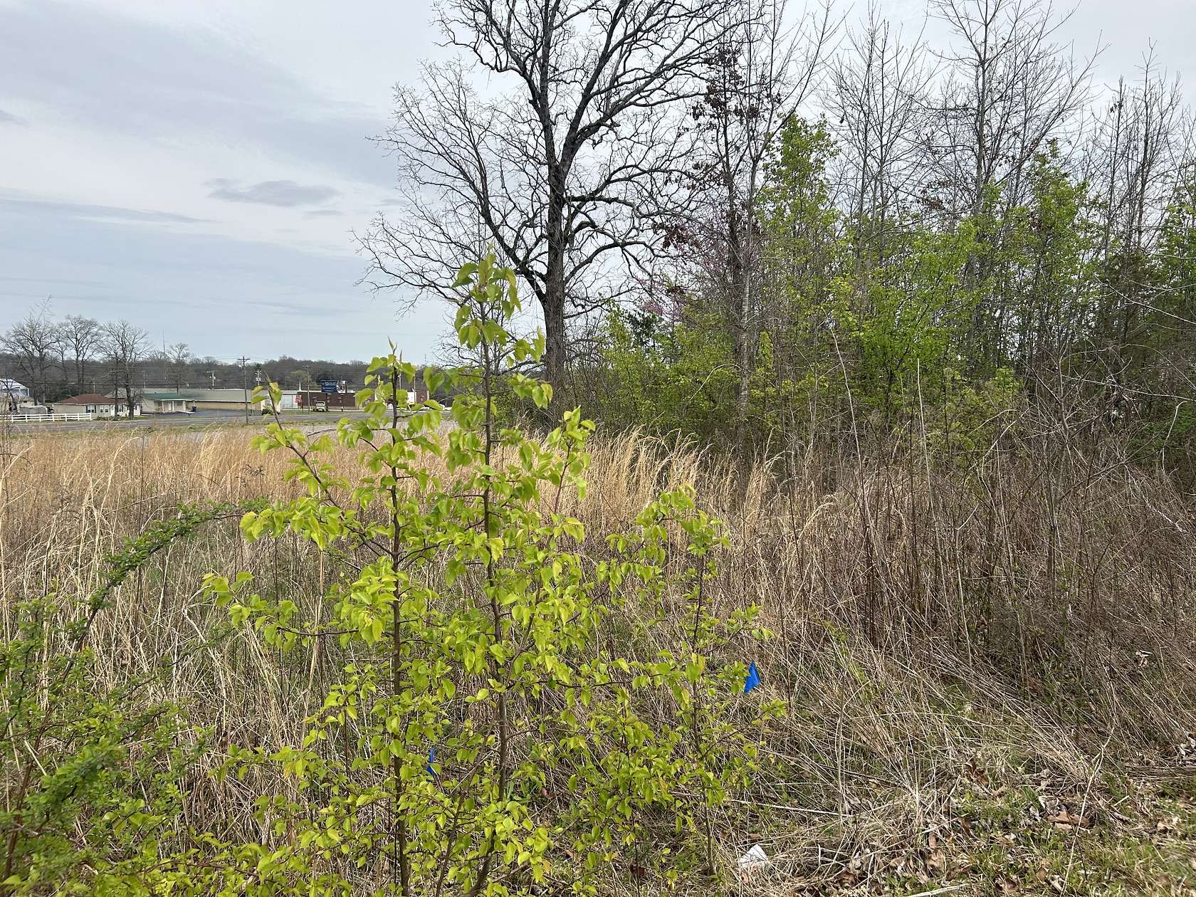 0.67 Acres of Commercial Land for Sale in Shelbyville, Tennessee