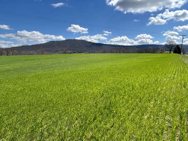 18.7 Acres of Mixed-Use Land for Sale in McMinnville, Tennessee