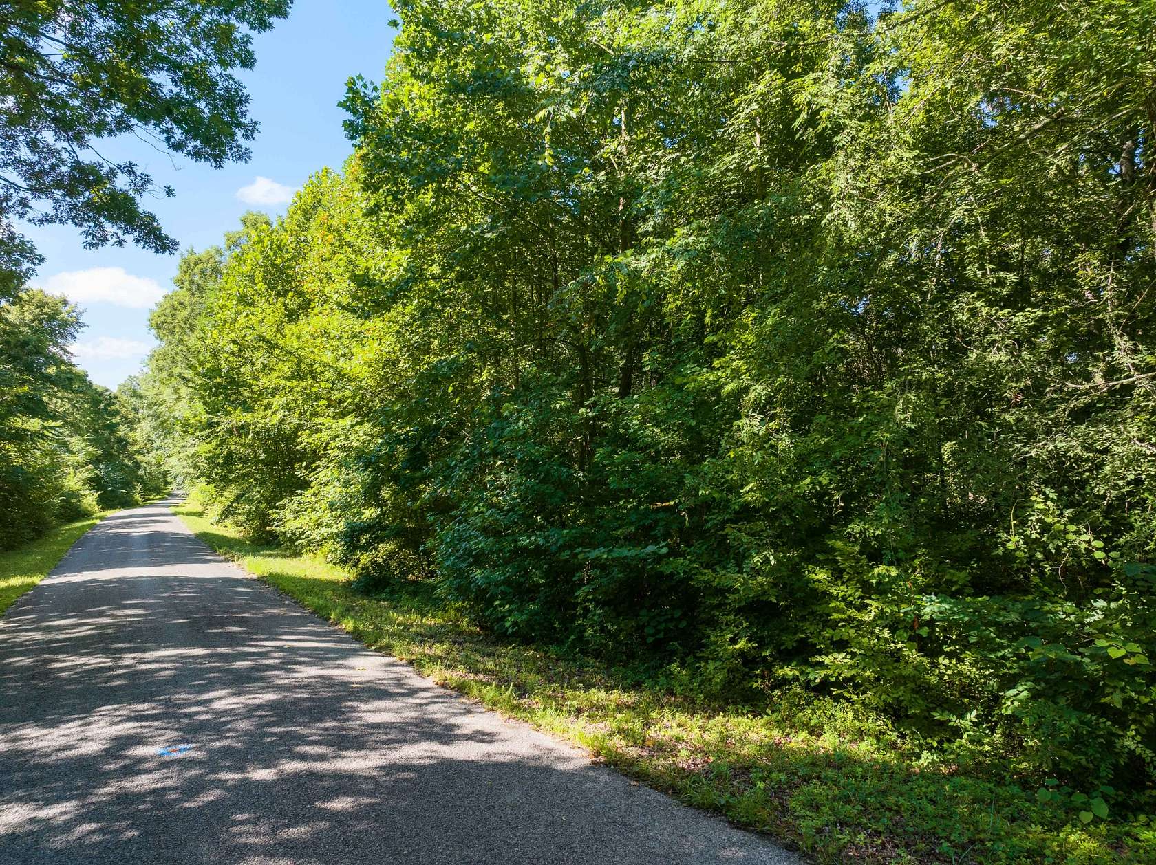 62.9 Acres of Recreational Land for Sale in Linden, Tennessee