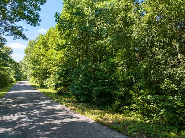 62.9 Acres of Recreational Land for Sale in Linden, Tennessee