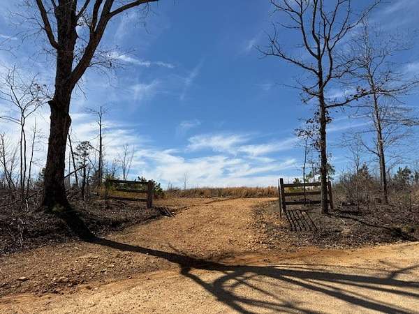 19 Acres of Land for Sale in Waynesboro, Tennessee