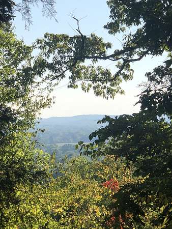 6.67 Acres of Residential Land for Sale in Franklin, Tennessee