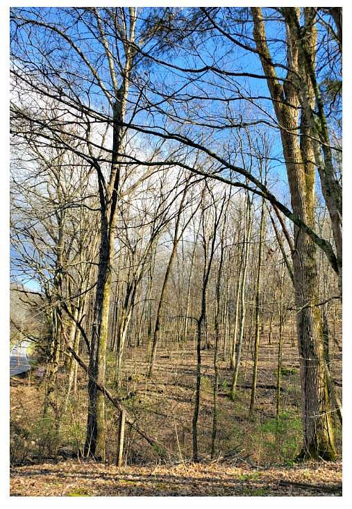 9.17 Acres of Land for Sale in Nashville, Tennessee