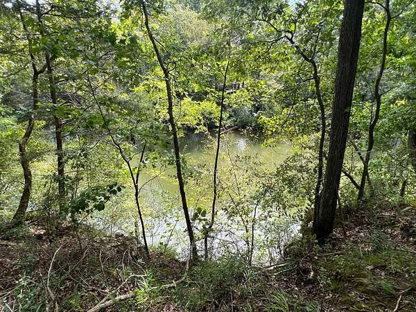 0.77 Acres of Residential Land for Sale in Rock Island, Tennessee