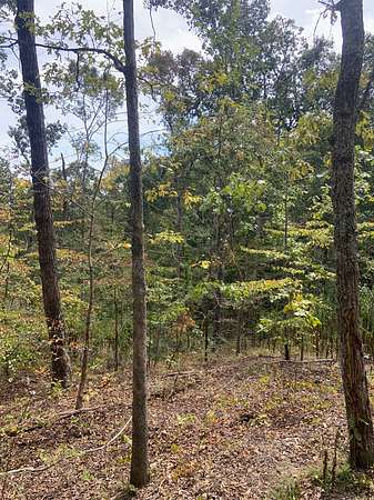 85 Acres of Recreational Land for Sale in Stewart, Tennessee