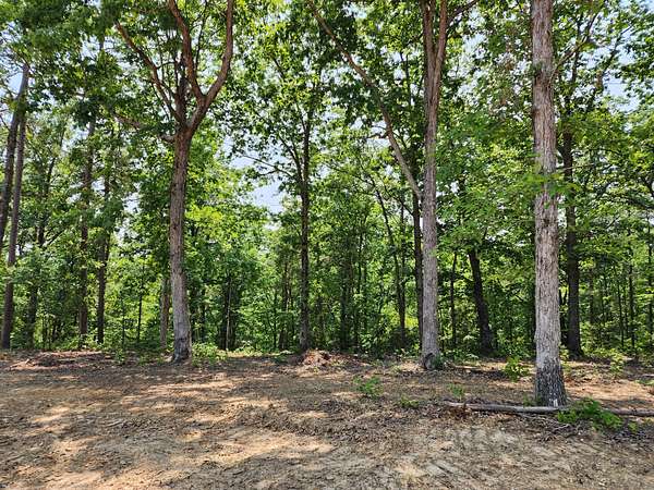 0.5 Acres of Residential Land for Sale in Hohenwald, Tennessee